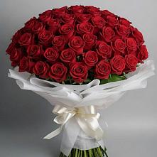 Букет 101 Красная роза Блэк Мэджик в Давыдково