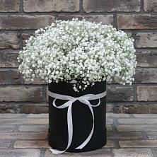 Цветочная композиция из Гипсофила в шляпной коробке в Давыдково