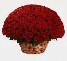 Премиум букет из: Розы #REPLACE_PRED# Давыдково