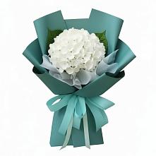 Букет цветов из:  Гортензия в Давыдково